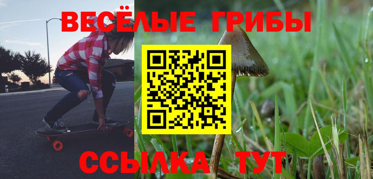 где купить наркотик  Вход с VPN  Абинск  Галлюциногенные грибы ЛСД  Псилоцибиновые грибы мухоморы 